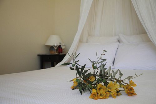 Urania Luxury Villas Pondi Zewnętrze zdjęcie